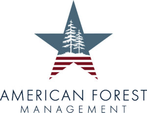 American Forest Management